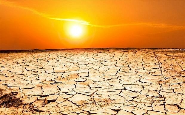 Drought In Odisha - Ketto