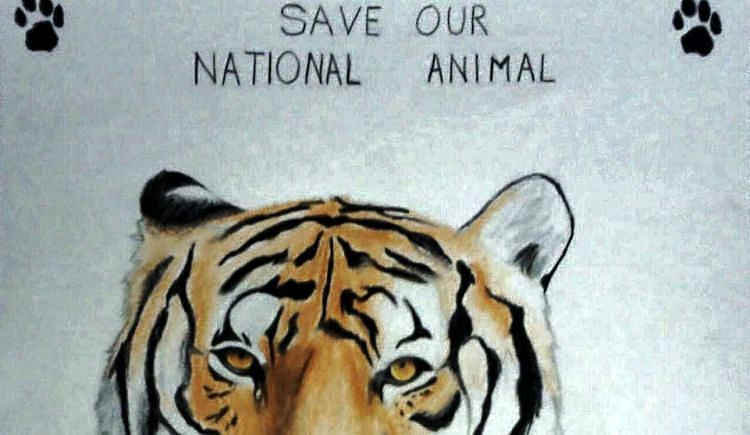 Save Tigers - Short Film - Ketto