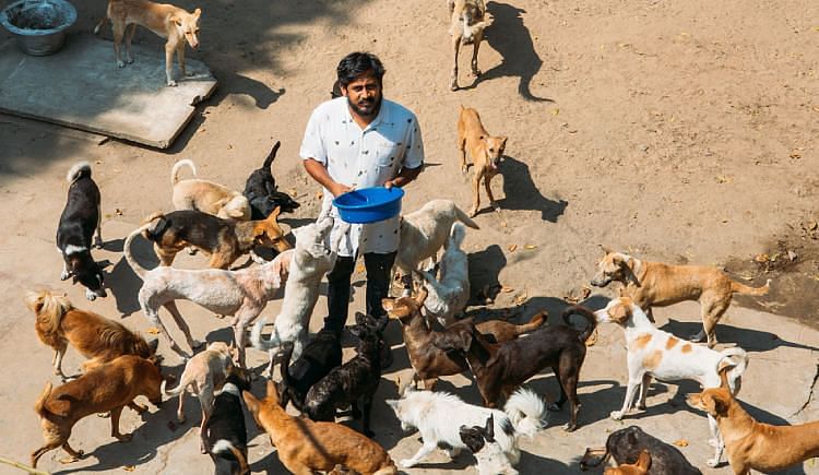 Help Shravan Take Care Of 200+ Injured And Abandoned Animals - Ketto