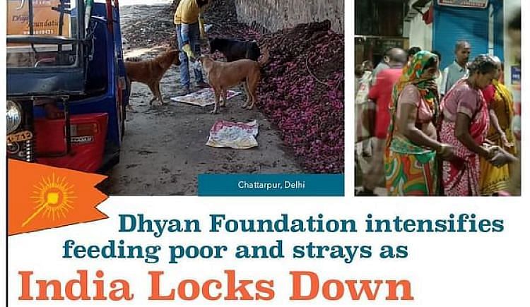 COVID Lockdown: Feeding The Voiceless Animals & Needy Humans Across Country  - Ketto