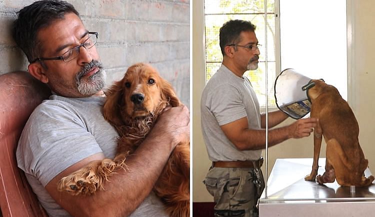 Help Rakesh Take Care Of 900+ Abandoned And Injured Dogs - Ketto Help Rakesh Take Care Of 900+ Abandoned And Injured Dogs - Ketto