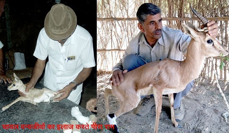 Funds For Food For Wild Animals, Which Has Been Lesser Because Of Corona - Ketto Funds For Food For Wild Animals, Which Has Been Lesser Because Of Corona - Ketto