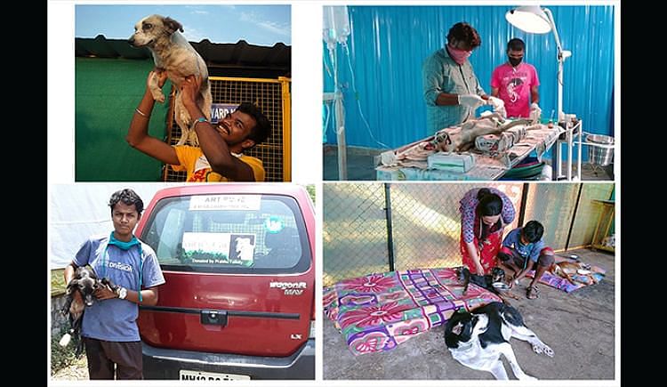 Animals Need Medical Care Too! - Ketto Animals Need Medical Care Too! - Ketto