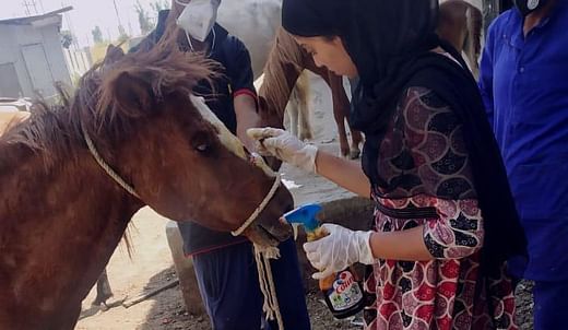 You Can Help Stop Animal Cruelty - Fund The Animal Rights Warriors - Ketto You Can Help Stop Animal Cruelty - Fund The Animal Rights Warriors - Ketto
