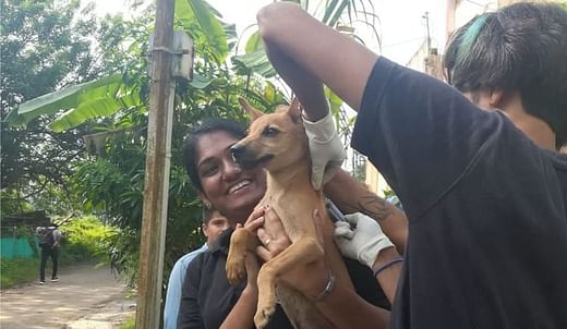 You Can Help Stop Animal Cruelty - Fund The Animal Rights Warriors - Ketto You Can Help Stop Animal Cruelty - Fund The Animal Rights Warriors - Ketto