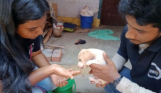 You Can Help Stop Animal Cruelty - Fund The Animal Rights Warriors - Ketto You Can Help Stop Animal Cruelty - Fund The Animal Rights Warriors - Ketto