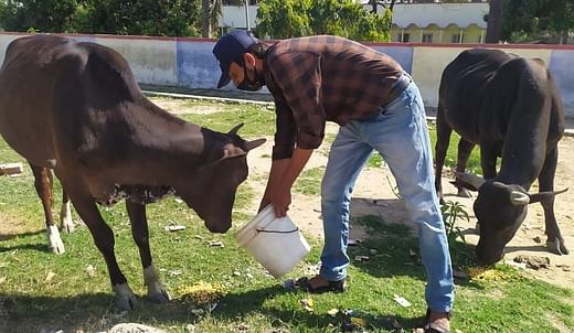 You Can Help Stop Animal Cruelty - Fund The Animal Rights Warriors - Ketto You Can Help Stop Animal Cruelty - Fund The Animal Rights Warriors - Ketto