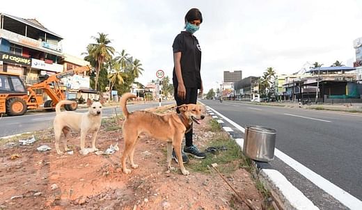 You Can Help Stop Animal Cruelty - Fund The Animal Rights Warriors - Ketto You Can Help Stop Animal Cruelty - Fund The Animal Rights Warriors - Ketto