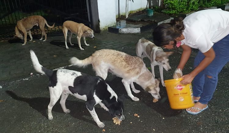 Rescue And Recuperation Center For Animals - Ketto Rescue And Recuperation Center For Animals - Ketto