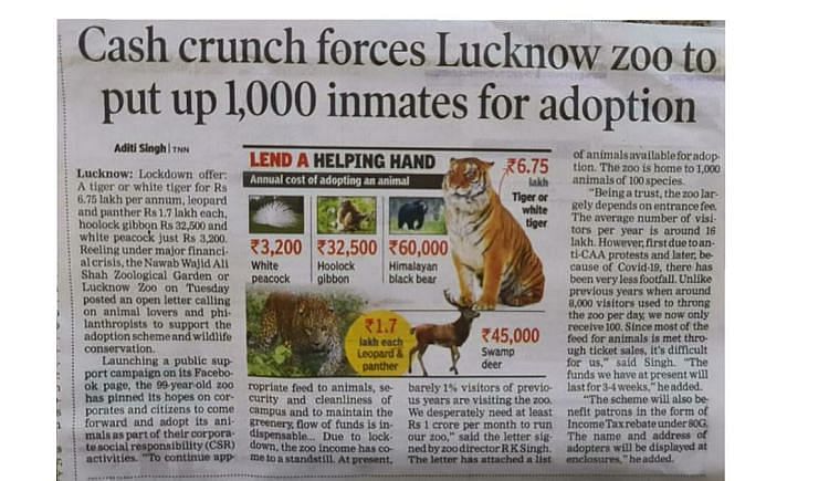 To Help The Lucknow To Animals Survive COVID 19 Pandemic - Ketto