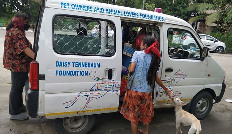 Help The Animal Ambulance For Sick And Injured Stray Animals By Mypalclub  Foundation - Ketto