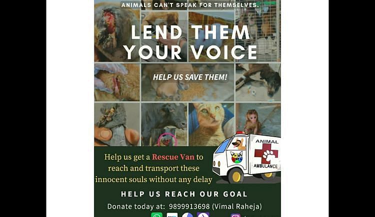 Help Us To Help Voiceless Stray Animals For Treatment , Get An Ambulance For Our Rescues And Other Nearby Trusted Rescuers . - Ketto Help Us To Help Voiceless Stray Animals For Treatment , Get An Ambulance For Our Rescues And Other Nearby Trusted Rescuers . - Ketto