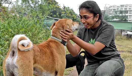 Rescue And Sterilization Of Stray Dogs In Pune - Ketto