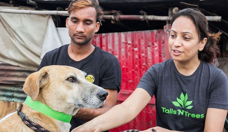 Rescue And Sterilization Of Stray Dogs In Pune - Ketto Rescue And Sterilization Of Stray Dogs In Pune - Ketto